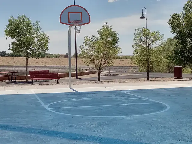 Basketball: el deporte de las canastas que conquistó el mundo